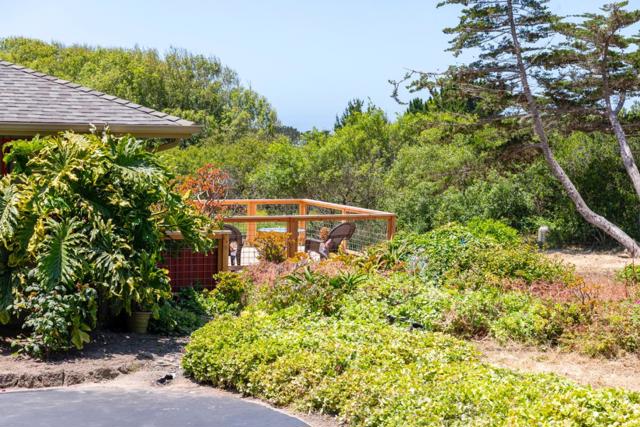 515 Bean Hollow Road, Pescadero CA: https://media.crmls.org/mediaz/877f03d2-d764-4d23-87d4-975c5c56cabc.jpg