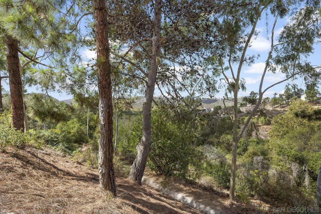 MLS #250040913SD image #40