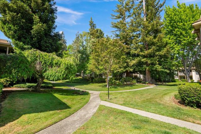 50 Horgan Avenue, Redwood City CA: https://media.crmls.org/mediaz/878188e8-59f2-4351-be30-44c3f5477399.jpg