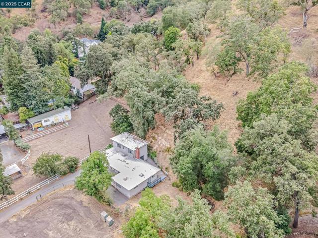 2435 Lunada Ln, Alamo CA: https://media.crmls.org/mediaz/8781b827-ac36-4463-b9e6-16610ff64d9c.jpg
