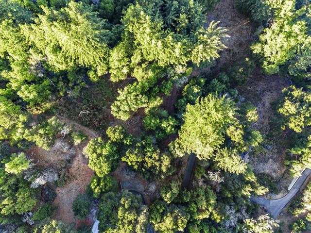 12 Montecito Road, Woodside CA: https://media.crmls.org/mediaz/8781deba-03bd-49bf-85f5-d7d2dc6f16a2.jpg