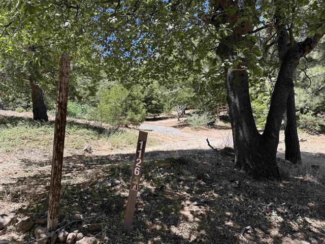 1126 Boiling Springs, Mount Laguna CA: https://media.crmls.org/mediaz/8791e986-aa60-4539-ae6e-bed3ff80d45e.jpg