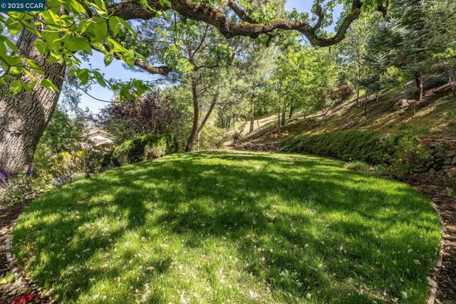 135 Dean Rd, Alamo CA: https://media.crmls.org/mediaz/8798f11a-2549-48de-ab37-92b17b5a10bb.jpg