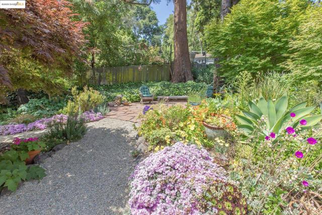 1081 Keith Ave, Berkeley CA: https://media.crmls.org/mediaz/879ced09-d198-4489-abe0-8eadc4a49761.jpg