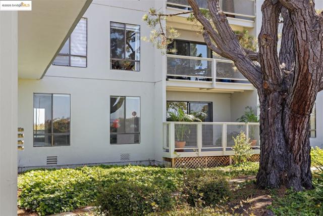 2 Commodore DR, Emeryville CA: https://media.crmls.org/mediaz/87a1c0f4-7bc9-416f-b53b-dbc6949a8789.jpg
