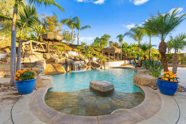 Detail Gallery Image 45 of 75 For 1799 Camden Pl, San Marcos,  CA 92069 - 4 Beds | 4/1 Baths