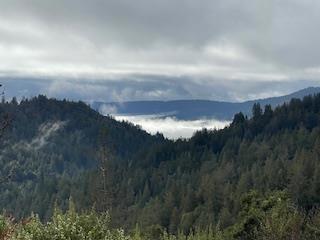 https://media.crmls.org/mediaz/87aab0ef-9206-4d10-ace0-b998009d5ff0.jpg?preset=X-Large
