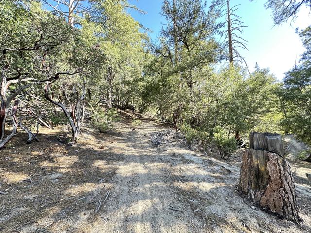 0 Mountain View, Idyllwild CA: https://media.crmls.org/mediaz/87aae1c9-21c3-44ea-913d-7233855e165c.jpg