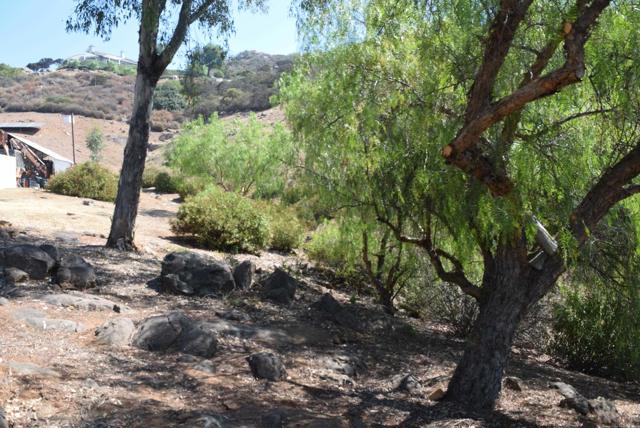0 Calle Mia, Alpine CA: https://media.crmls.org/mediaz/87acef8f-543a-4a96-b5fc-606d7b972ccb.jpg