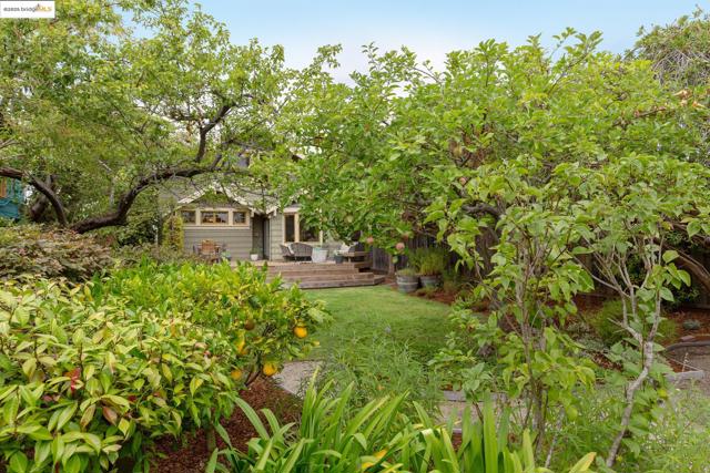 3860 Greenwood Ave, Oakland CA: https://media.crmls.org/mediaz/87b48243-17f0-46ec-8a93-24a9480eb004.jpg