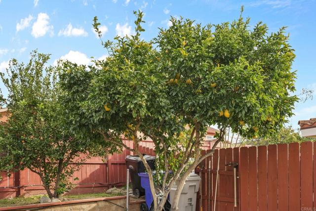 Detail Gallery Image 26 of 30 For 7425 Alsacia St, San Diego,  CA 92139 - 3 Beds | 2 Baths