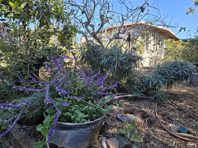 2344 Warmlands Ave, Vista CA: https://media.crmls.org/mediaz/87bea77f-b3e2-46e7-af81-03f53ed655fc.jpg