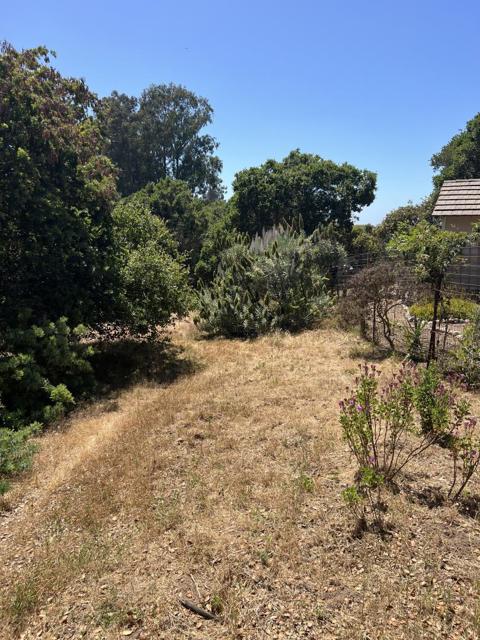 17160 Wilson Way, Royal Oaks CA: https://media.crmls.org/mediaz/87c0f516-a473-42ac-b8e3-edb6888217f1.jpg