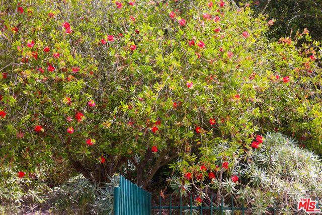 520 Barker Pass Road, Santa Barbara CA: https://media.crmls.org/mediaz/87c17486-d2f1-44ce-a448-2d056a6877e8.jpg