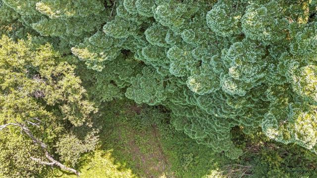 115 Edison Way, Soquel CA: https://media.crmls.org/mediaz/87c4690c-e0ce-422c-a166-1b02961440ba.jpg