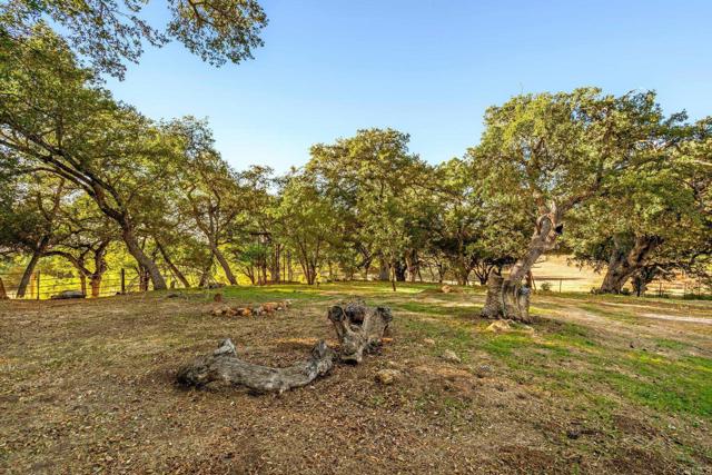 Image 41 of 69 For 25258 Black Canyon Road