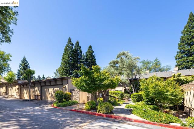 128 Alamo Sq, Alamo CA: https://media.crmls.org/mediaz/87c94325-0d81-4503-81b0-c7dbcc3f6db5.jpg