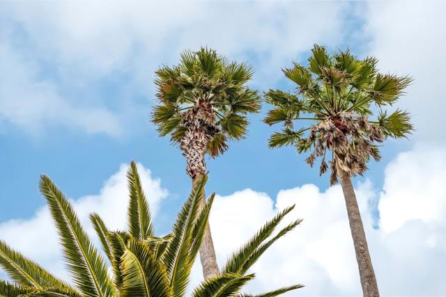 509 36th Avenue, Santa Cruz CA: https://media.crmls.org/mediaz/87c9a1cd-49fe-45b2-b630-ba7d476a944f.jpg