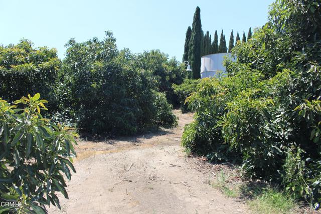 Detail Gallery Image 60 of 72 For 6150 Baja Vista Dr, Somis,  CA 93066 - 7 Beds | 5/2 Baths