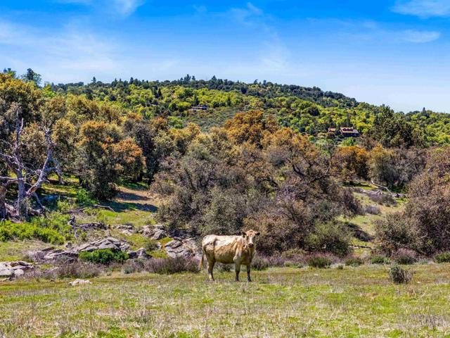 3510 Deer Lake Park Road, Julian CA: https://media.crmls.org/mediaz/87dd15b5-a09f-41f8-803d-2fdbfd22e851.jpg