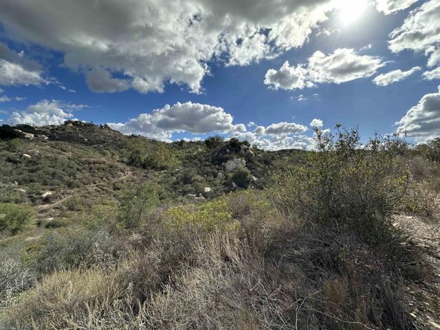 Detail Gallery Image 57 of 63 For 2494 Donnil Lane, Fallbrook,  CA 92028 - 3 Beds | 2 Baths