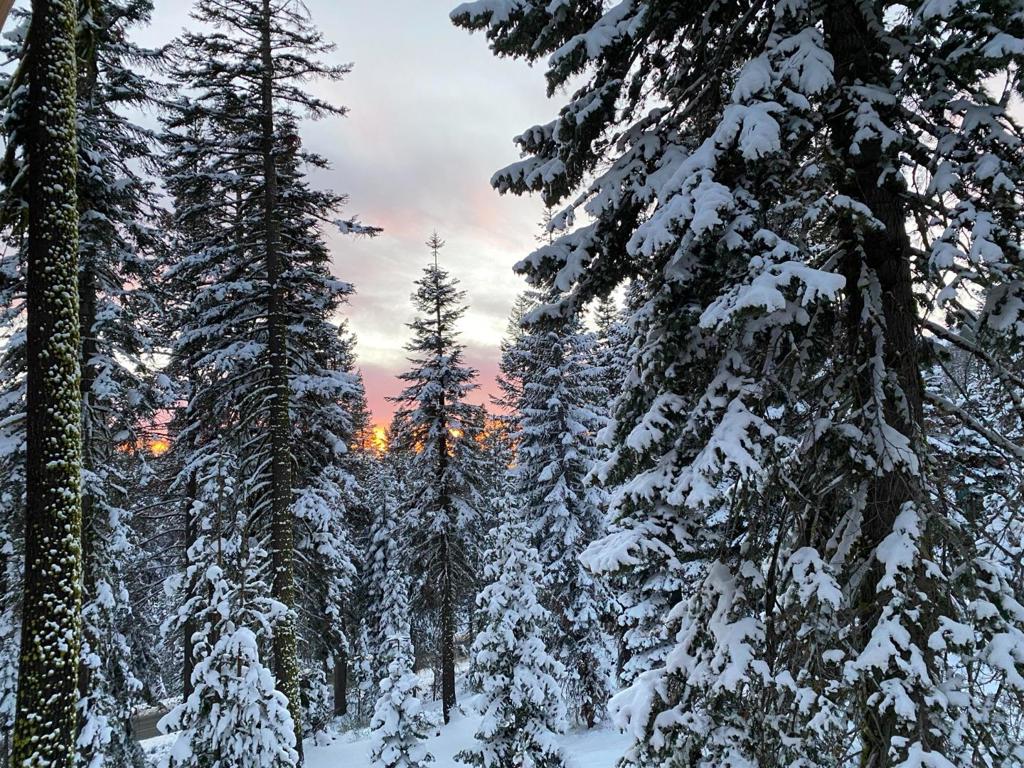 https://media.crmls.org/mediaz/87e72cd1-eb9d-4219-9777-27828b471a12.jpg?preset=X-Large