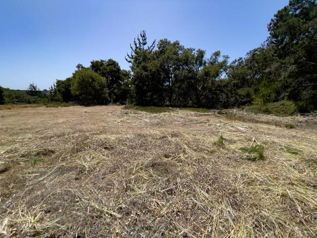 58 Desmond Road, Salinas CA: https://media.crmls.org/mediaz/87e9a528-464a-476c-af26-a2cdb48efb67.jpg