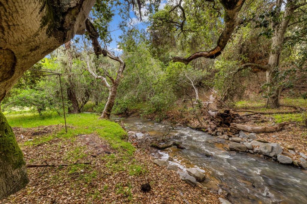 MLS #ML81998990 image #18