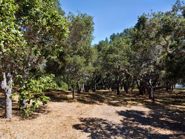 4 Holding Field Run, Carmel CA: https://media.crmls.org/mediaz/87f14ec8-2988-4829-873a-a473e539794a.jpg