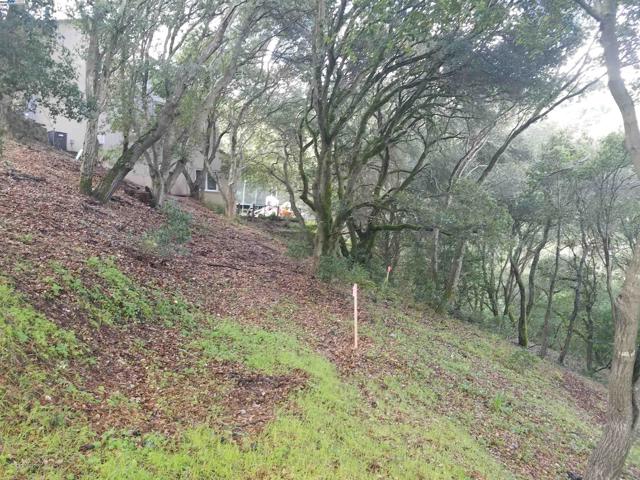 12 Vista Del Orinda, Orinda CA: https://media.crmls.org/mediaz/87f1d13d-c748-4118-8b8d-a75a1b744d42.jpg