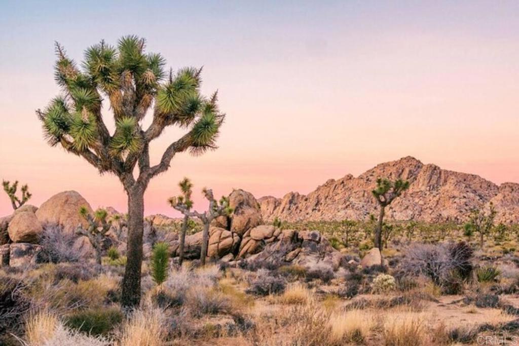 https://media.crmls.org/mediaz/87f7194b-8d52-4310-8001-08721ecf05aa.jpg?preset=X-Large