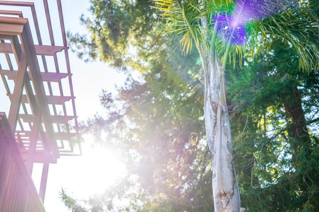 207 Driftwood Court, Aptos CA: https://media.crmls.org/mediaz/88013419-3eaf-4713-9412-9b1c3ba041a3.jpg