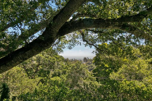 1408 Avondale Road, Hillsborough CA: https://media.crmls.org/mediaz/88013524-21e1-409b-8adc-648ff40960f9.jpg
