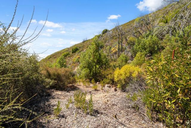 35005 Loma Chiquita Road, Los Gatos CA: https://media.crmls.org/mediaz/88016652-69b0-4add-9fe6-195b4c0c601c.jpg