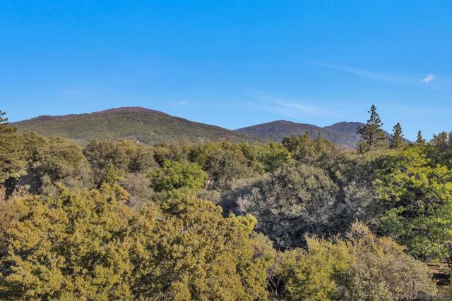 4667 Luneta View Rd, Julian CA: https://media.crmls.org/mediaz/88040e57-ca45-4b2f-827a-2a86ba2450df.jpg