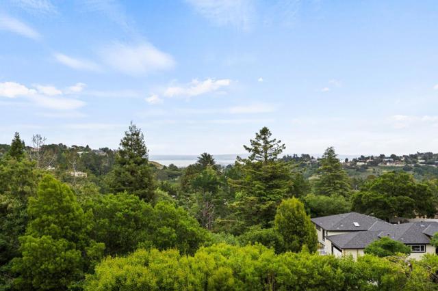 1535 Lakeview Drive, Hillsborough CA: https://media.crmls.org/mediaz/881313e7-afdb-44ab-ac59-66ceda7cc7b3.jpg