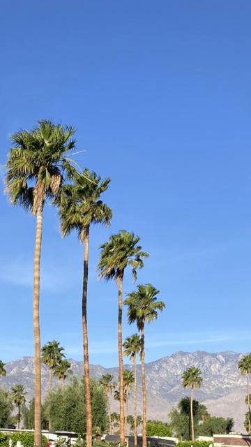69411 Ramon Road, Cathedral City CA: https://media.crmls.org/mediaz/881a0b6e-8e11-427e-947d-377435d2995b.jpg
