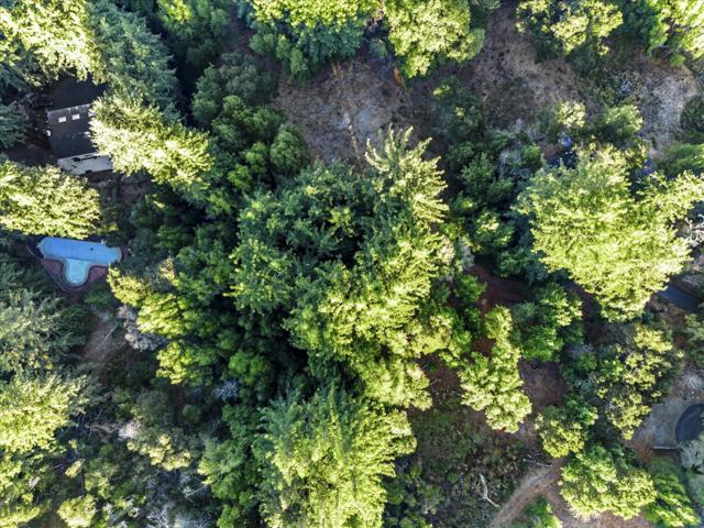 12 Montecito Road, Woodside CA: https://media.crmls.org/mediaz/8826b086-9bdd-4222-b9a0-2d9bafc96e3d.jpg