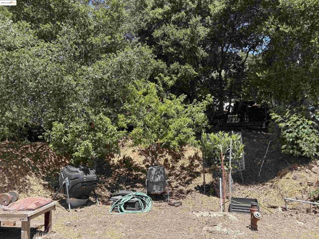 5415 Leona Street, Oakland CA: https://media.crmls.org/mediaz/882b42bb-9c02-4f2a-89c5-c31c87d897d3.jpg