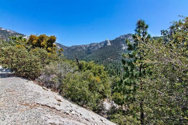 Image 3 for 54560 Craghill Dr, Idyllwild, CA 92549