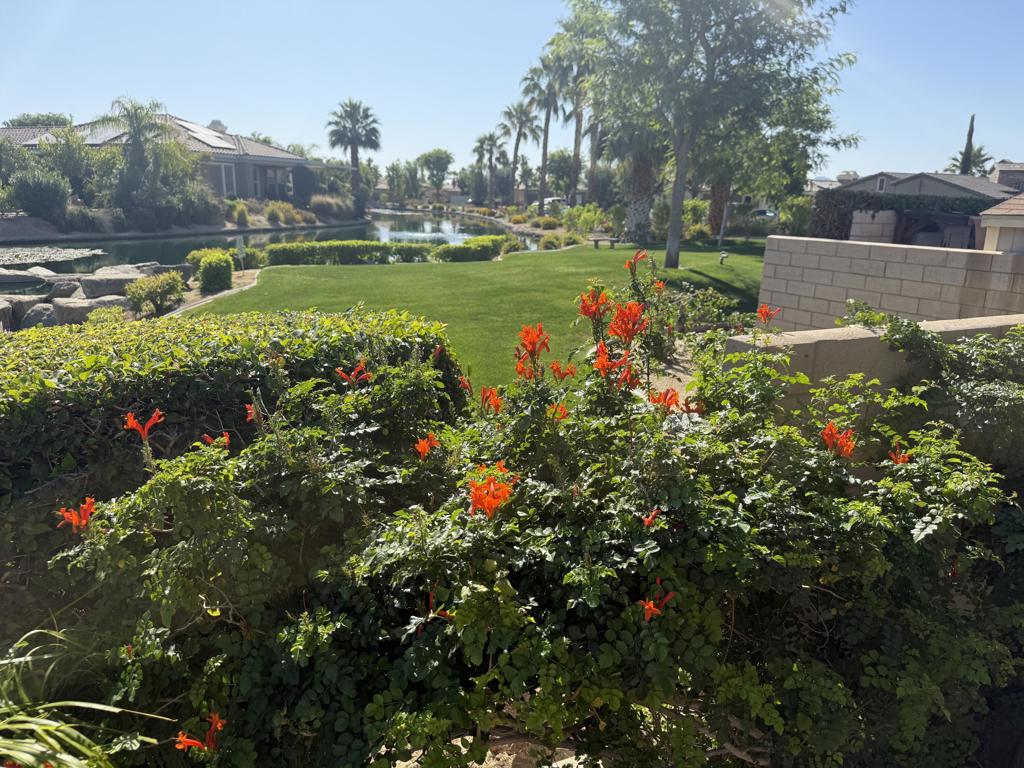 https://media.crmls.org/mediaz/88481130-f0cd-4f20-8569-95f3a8f99150.jpg?preset=X-Large