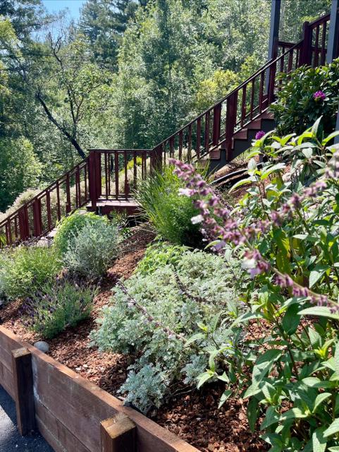 805 Old Mill Pond Road, Los Gatos CA: https://media.crmls.org/mediaz/8849842b-ae51-440e-92b2-a378645dffd7.jpg