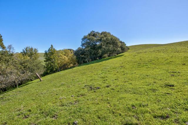 0 Bella Madeira Lane, San Jose CA: https://media.crmls.org/mediaz/884a9943-fddf-4e26-9ef4-ec98c22bebec.jpg