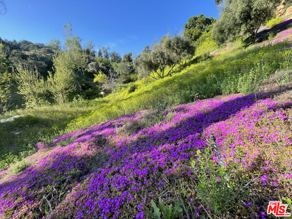https://media.crmls.org/mediaz/885762e9-9d1b-4eb6-b29e-8f7c5549600f.jpg?preset=X-Large