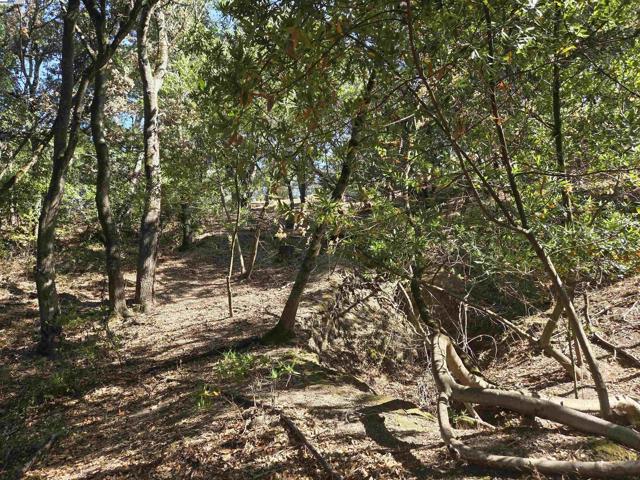 12 Vista Del Orinda, Orinda CA: https://media.crmls.org/mediaz/8858a127-043e-41dc-8598-3c21d45ff3ab.jpg