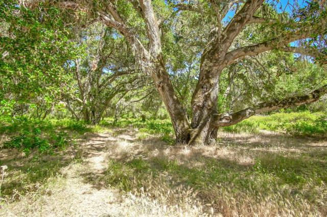 0 Creek Ranch, Carmel Valley Road, Carmel Valley CA: https://media.crmls.org/mediaz/88598ad5-3623-4a45-86e1-56cbc266f19e.jpg