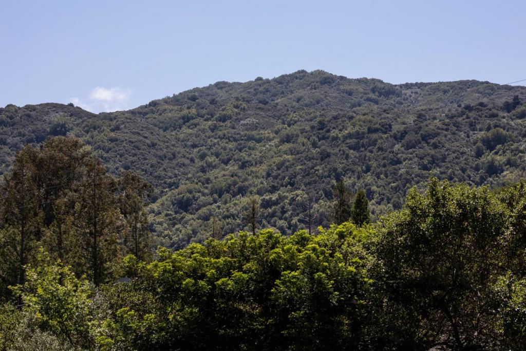 https://media.crmls.org/mediaz/8859fd75-aa7f-44a1-8c17-b8af94ee2eff.jpg?preset=X-Large
