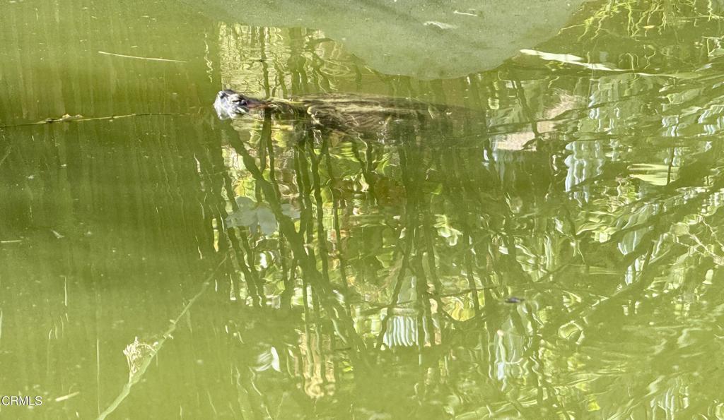 https://media.crmls.org/mediaz/885e19b2-5d9d-454d-8560-f0973235c27d.jpg?preset=X-Large