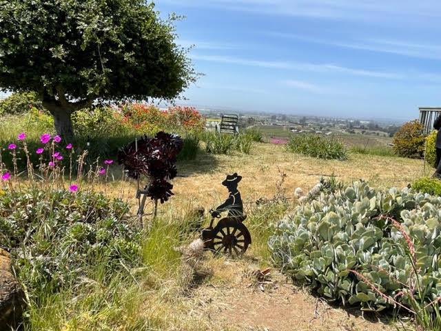 MLS #ML81934217 image #22