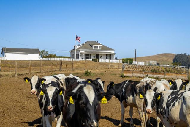 14550 Valley Ford Estero, Valley Ford CA: https://media.crmls.org/mediaz/886a4096-4a63-457b-a6d9-4dc8ea9e74cf.jpg